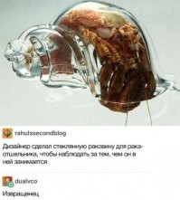 Камера в домике для птиц