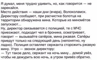 Вспомнилось.