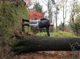 гравитация всё ставит на свои места :)