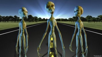 Визит (рассказ)
Научная фантастика
Читальный зал
Ожидает приглашения
Порой забавно наблюдать, как расходятся ожидания и реальность.

Люди мечтали о контакте с инопланетными цивилизациями. Версии контакта с пришельцами у писателей и режиссёров, в основном, сводились в двум вариантам: прилетают «злые инопланетяне» и хотят уничтожить нашу матушку Землю или прилетают «добрые инопланетяне» и идут на контакт с человечеством. В отдельных случаях рассматривались иные варианты пришельцев: пришельцы-торговцы, пришельцы-прогрессоры, пришельцы-наблюдатели. Наверно, эти версии были ближе всего к истине.

Да, человечество столкнулось с пришельцами. Кто они? Откуда прилетели? Как нас нашли? Что из себя представляет их цивилизация? – ответы на эти вопросы мы так и не узнали.

Их корабль, принятый за астероид, вошёл в Солнечную систему (привет, Оумуамуа!) и его траектория пролегала рядом с Землёй. Это должно было стать значимым астрономическим событием, и все астрономы планеты – профессиональные учёные и любители – готовились пронаблюдать астероид вблизи. Первые сомнения появились, когда в момент максимального сближения «астероид» внезапно изменил траекторию полёта и начал сближаться с нашей планетой. Буквально через несколько часов наблюдения стало очевидно, что объект искусственного происхождения и движется под влиянием внутренних сил. Видимо пришельцы научились отлично маскировать свои корабли, ведь все наблюдения земных учёных говорили о том, что объект   астероид. Природа такой маскировки осталась людям неизвестна.

Достигнув орбиты Луны, пришельцы остановились и начали двигаться по орбите, приближаясь к точке между Землёй и Солнцем. В тот же день всю планету облетело видеопослание от инопланетных гостей. Известие о них буквально всколыхнуло всё население Земли, но ни учёные, ни СМИ не успели как следует посмаковать эту новость, так как послание гостей сразу же сбило весь энтузиазм.

Послание было сделано на международном английском языке. Каждый носитель языка мог подметить некоторую нескладность в использовании слов, но суть всего послания была понятна каждому. Вкратце она была такая: «Мы – пришельцы из другого мира. От вас, землян, нам нужны ресурсы, а именно металлы – серебро и золото. По нашим скромным оценкам, земляне располагают 200 тонн добытого чистого золота и 500 тонн серебра. Мы требуем предоставить 210 тонну золота и 550 серебра. Взамен мы предлагаем вам ваши жизни. Мы закроем вашу планету от Солнца. У вас будет примерно одна неделя, чтобы собрать нужное количество металлов и доставить его на западное побережье Австралии, где мы их подберём. Если вы не успеете к назначенному сроку, то ваша планета, лишённая солнечного света, будет медленно замерзать, пока всё живое не умрёт. Любые попытки вести переговоры или торговаться будут проигнорированы. Ваше время пошло»

Текст был произнесён бесстрастным механическим голосом. Послание сопровождалось изображениями планеты Земля, золотыми и серебряными слитками, картой Австралии с пометками красными точками, картинами солнечного затмения. В конце видеопослания на несколько секунд показались сами инопланетные гости: в окутанной полумраком кабине звездолёта на сооружении, по-видимому, являющемся креслом пилота, сидело кальмароподобное существо. Оно пошевелило щупальцем, указав на какой-то источник света за пределами кадра. Разобрать детали было сложно из-за плохого освещения и низкого качества картинки.

Достигнув нужной точки на орбите инопланетный звездолёт отлетел на некоторое расстояние от планеты и начал разворачивать гигантских размеров космический парус, создавший на нашей планете миниатюрное солнечное затмение. Парус быстро увеличивался в размерах, чтобы полностью закрыть планету от Солнца ему понадобилось несколько суток. За это время в мире людей происходили беспрецедентные вещи.

Краткое и лаконичное послание инопланетных гостей не оставляло вопросов по их намерениям. Пришельцы не утруждали себя рассказами о том, кто они такие и почему так поступают, как узнали о планете Земля и когда успели освоить земные языки, географию и культуру. В их словах всё было предельно просто: дайте нам то, что мы хотим, или мы отберём у вас то, что вам жизненно необходимо, потому что можем это сделать. Своеобразные космические хулиганы, которые остановили тебя в переулке и помахали перед носом ножом, чтобы ты вывернул карманы.

При этом пришельцы действовали продуманно. Они не стали наблюдать с околоземной орбиты за процессом сбора «дани», держались на нужном расстоянии от планеты, где людишки не могли им ничего противопоставить. Да и зачем приближаться? Чтобы какой-нибудь Брюс Уиллис или Уилл Смит подлетели к ним на самолёте и уничтожили их крутой звездолёт с астероидной маскировкой?

На Земле послание пришельцев у правящей и материальной элиты поначалу вызвало возмущение и негатив. Первым порывом было кинуться торговаться и предлагать взаимовыгодные условия. Но когда пришельцы начали разворачивать антисолнечный парус, их настрой резко изменился. Как и сообщалось в послании, попытки установить с инопланетянами связь всеми известными землянам способами молча игнорировались. Видимо, пришельцы давно отработали схему шантажа таких миров, как Земля.

Самые здравомыслящие мировые лидеры сразу же приступили к сбору драгоценных металлов, а скоро к ним присоединились остальные. Сказать, что это сильно повлияло на мировую экономику – это ничего не сказать. Все хранилища драгоценных металлов вычищались подчистую. Банкиры, владельцы золотых фондов и прочие артачились, пытались торговаться, рвали на себе волосы, но вид чёрного пятна, медленно расползающегося поверх Солнца, оказывал на людей магическое влияние. В помощь изнывающей экономике частично пришли криптовалюты, не имеющие привязки к драгоценным металлам. Все финансовые системы мира в спешном порядке старались перейти на криптовалюты, так как стоимость национальных валют быстро приближалась к нулю.

Немало проблем доставил сбор золота в Индии, где религиозное население наотрез отказалось выдавать свои семейные золотые украшения. Развитые страны доставляли собранные металлы к Австралии воздушными путями. Страны, расположенные ближе к Австралии, доставляли груз морем. Пассажирские перевозки по всему миру практические прекратились, все было переориентировано на транспортировку грузов.

К концу первой недели «контакта» пришельцы закрыли от Солнца 90% освещаемой части планеты. Учёный по всему миру начали сообщать о медленном снижении температуры окружающей среды. По их прогнозам, ещё через неделю жизнь на планете окажется под угрозой исчезновения. К тому времени уже бόльшая часть металлов была свезена к западному побережью Австралии. Если бы пришельцы в тот момент резко передумали и просто улетели, австралийцы могли бы стать самыми богатыми людьми на планете.

Когда весь «выкуп» был собран температура на планете заметно снизилась. Климатологи предрекли климатический конец света в течение нескольких дней. Человечество собрало свои золотые и серебряные запасы на морском берегу и замерло в ожидании. Некоторые государственные лидеры готовили план с боем отбить свои золотые запасы, когда пришельцы прилетят за ними. Но инопланетные вымогатели тоже действовали продуманно: от основного звездолёта отделился корабль поменьше, которые прилетел забирать дань. С помощью гравитационного луча он втянул в себя груз. Это было необычайное зрелище: под светом прожекторов огромные грузовые платформы с золотом и серебром медленно поднимались по воздуху и исчезали в тёмном брюхе корабля.

Собрав дань, корабль быстро покинул атмосферу. Когда он пересёк орбиту Луны антисолнечный парус пришельцев начал сворачиваться, открывая доступ солнечным лучам к продрогшей Земле. Спустя несколько суток оба корабля встретились, и пришельцы покинули Солнечную систему без лишних церемоний.

Я, как рядовой житель планеты, с волнением наблюдал за событиями из своего загородного домика за чертой большого города. Простые жители, вроде меня, оказавшиеся в стороне от всеобщей суеты, могли только надеяться, что пришельцы не захотят подкрепить свои слова насилием.

Пришельцы улетели, а землянам осталась разрушенная экономика. Национальные валюты лишились своей ценности, редкие жители планеты могли позволить себе носить украшения из золота. На фоне экономического краха многие страны погрязли в анархии, другие, сохранившие подобие порядка, погрузились в бесконечные попытки восстановить производство и наладить финансовую систему.

Визит пришельцев-вымогателей можно сравнить с набегом каких-нибудь кочевников-варваров, ограбивших мирную деревню. Правда, в отличие от варваров, пришельцы действовали более гуманно: они ничего не разрушили. Как знать, может быть они планировали вернуться через пару сотен лет и повторить свои действия. Остаётся только надеяться, что спустя столько времени землянам будет, что им противопоставить.