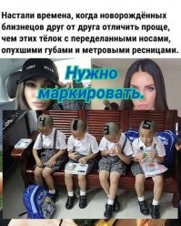 Смешные и познавательные картинки