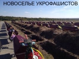 В Турции погиб летчик-легенда Евгений Кузнецов