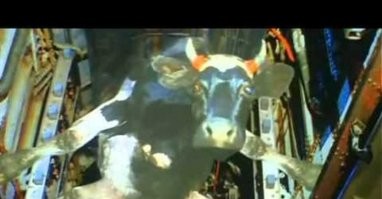 Они за парашютами зашли