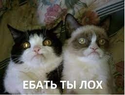 Это фиаско, братан: "гонщик" на BMW устроил ДТП в Новосибирске