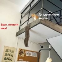 35 случайных фото разной степени крутости