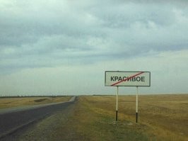 Смешные и познавательные картинки