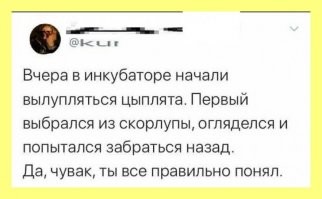 Вылупился цыплёнок из яйца, осмотрелся.
И залупился назад.