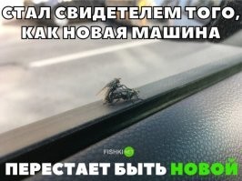 Такое не каждый день увидишь!