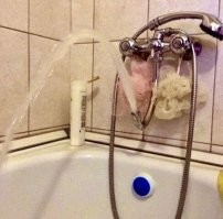 Семь раз отмерь, один отрежь: 25 сборников строительных расчетов и калькуляторов