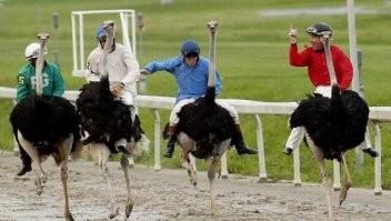 Давным-давно опробованное средство передвижение