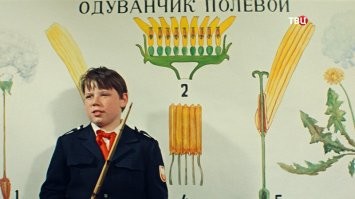 Приколы - только очень смешные картинки