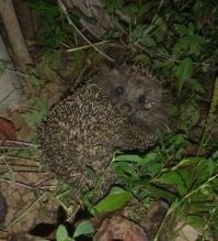 Взрыв Позитива. Выпуск N2