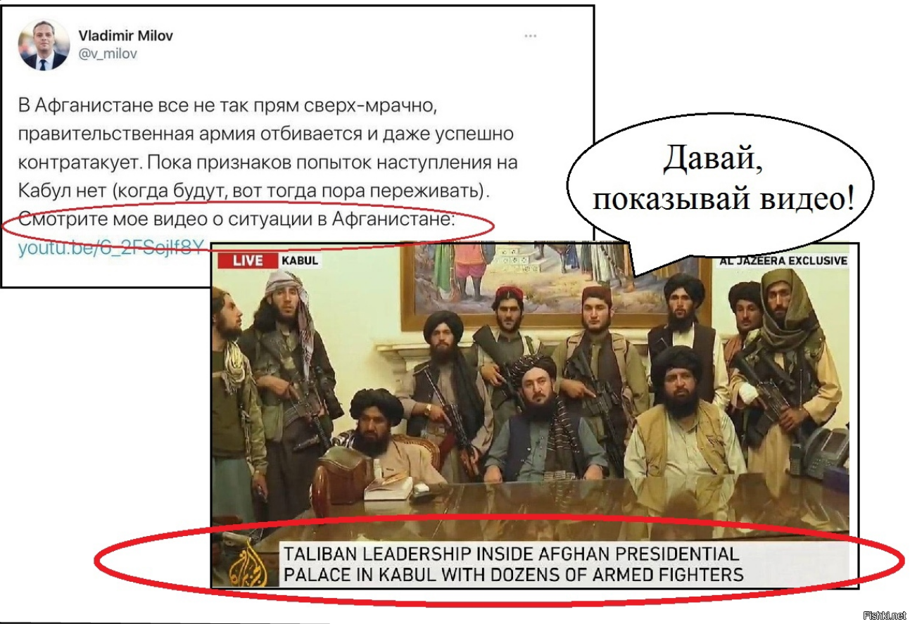 Солянка кронидов. Фишки политическая солянка. Фишки солянка. Фишки политическая солянка. Фишки нет солянка новое.