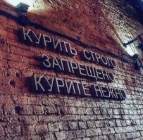 Смешные и познавательные картинки