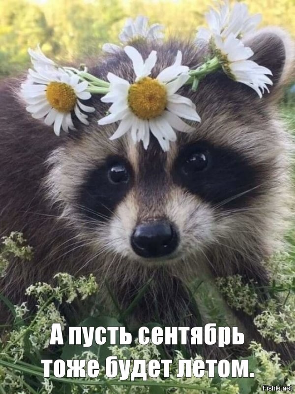 18 августа, Евстигней Житник (День прозевал - урожай потерял)
