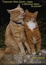 Смешные картинки из&nbsp;соц&nbsp;сетей