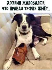 А погрыз левую..