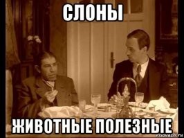 Слоны во время войны: как они помогали солдатам