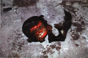 не ссы, вот они:
1. компрессор боинга
2. диск шасси боинга
3. черный ящик боинга
4. все трупы опознаны