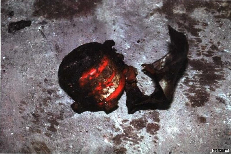 не ссы, вот они:
1. компрессор боинга
2. диск шасси боинга
3. черный ящик боинга
4. все трупы опознаны