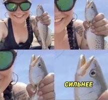 Не жми, рыбка больше и твёрже не станет!