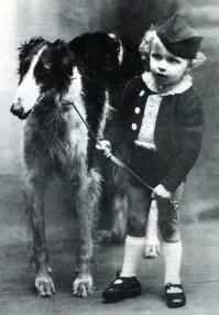 Собака похожа на русскую псовую борзую. Правда у современных более «горбатый» нос.