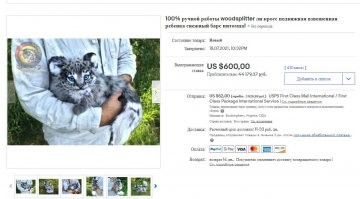 Художница делает игрушки, которые вот-вот оживут