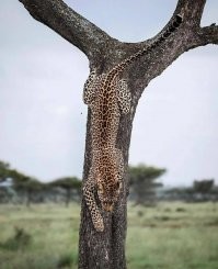 Демы, от которых у вас улучшится настроение