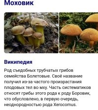 «Запорожец» с нефтяным мотором. Позабытый первенец советских тракторов