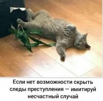 Взрыв Позитива. Выпуск N4