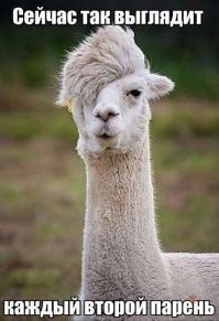 Смешные и познавательные картинки