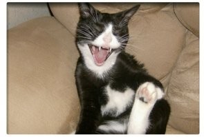 Смешные картинки на вечер пятницы