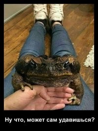 Как же огромны некоторые вещи по сравнению с человеком