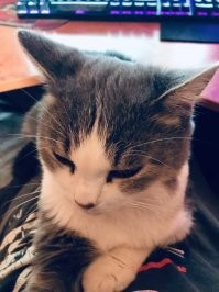 Год назад болел ковидом, температура 39-41, от меня не отходил ни на шаг!!