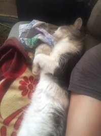 Год назад болел ковидом, температура 39-41, от меня не отходил ни на шаг!!