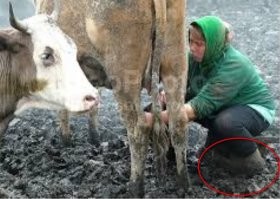 а вот тоже говноботы