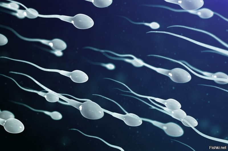 Некоторые здешние эксперты по 90-м,в 90-х выглядели проще