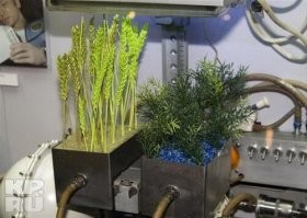 35 интересных и забавных фото, которые скрасят ваш день