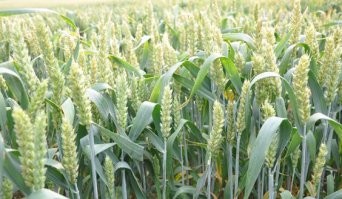 35 интересных и забавных фото, которые скрасят ваш день