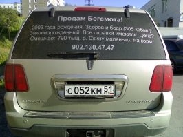 Кое-что из моего старья: