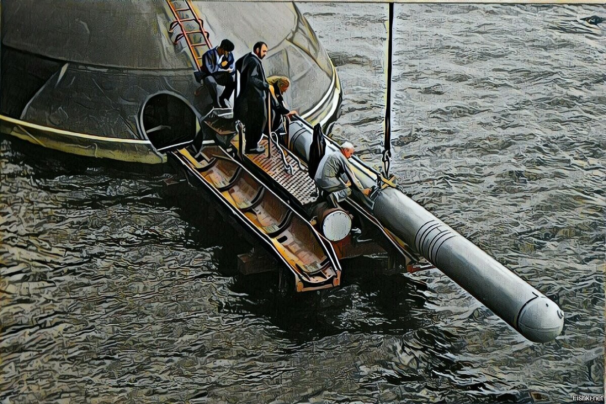 Большая торпеда. Калибр Крылатая 3м 14э ракета. Торпедный аппарат подводной лодки 877. 3м14 ракета. 3м-14 «Калибр-НК».
