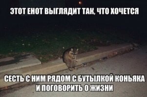 Смешные и познавательные картинки