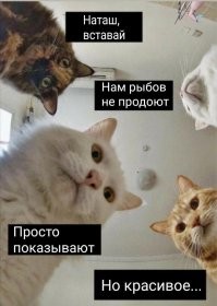 Ну и мое любимое на данный момент)