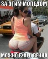 Смешные и познавательные картинки