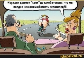 Смешные и познавательные картинки