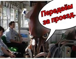 35 интересных и забавных фото, которые скрасят ваш день