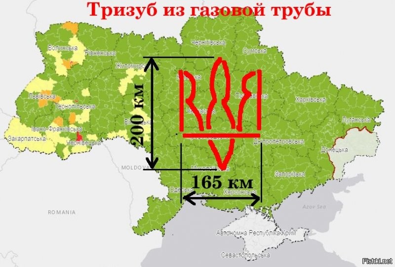 Газовую трубу разберут! 

Сейчас посчитаем, длина укроины где то 1300 км, восемь кусков трубы это 1300:8=162.5 км. Значит трезуб получится примерно на 163 на 200 километра! 

Это рекорд в Книгу Гиннеса однозначно!