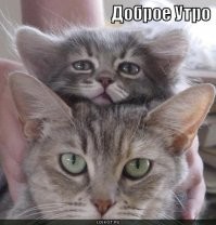 С добрым утром!