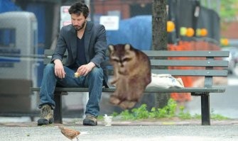 Смешные и познавательные картинки