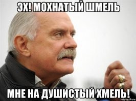Девочка спасла шмеля и приручила его